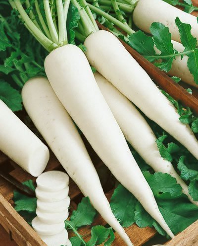 Image of Radishes vegetable